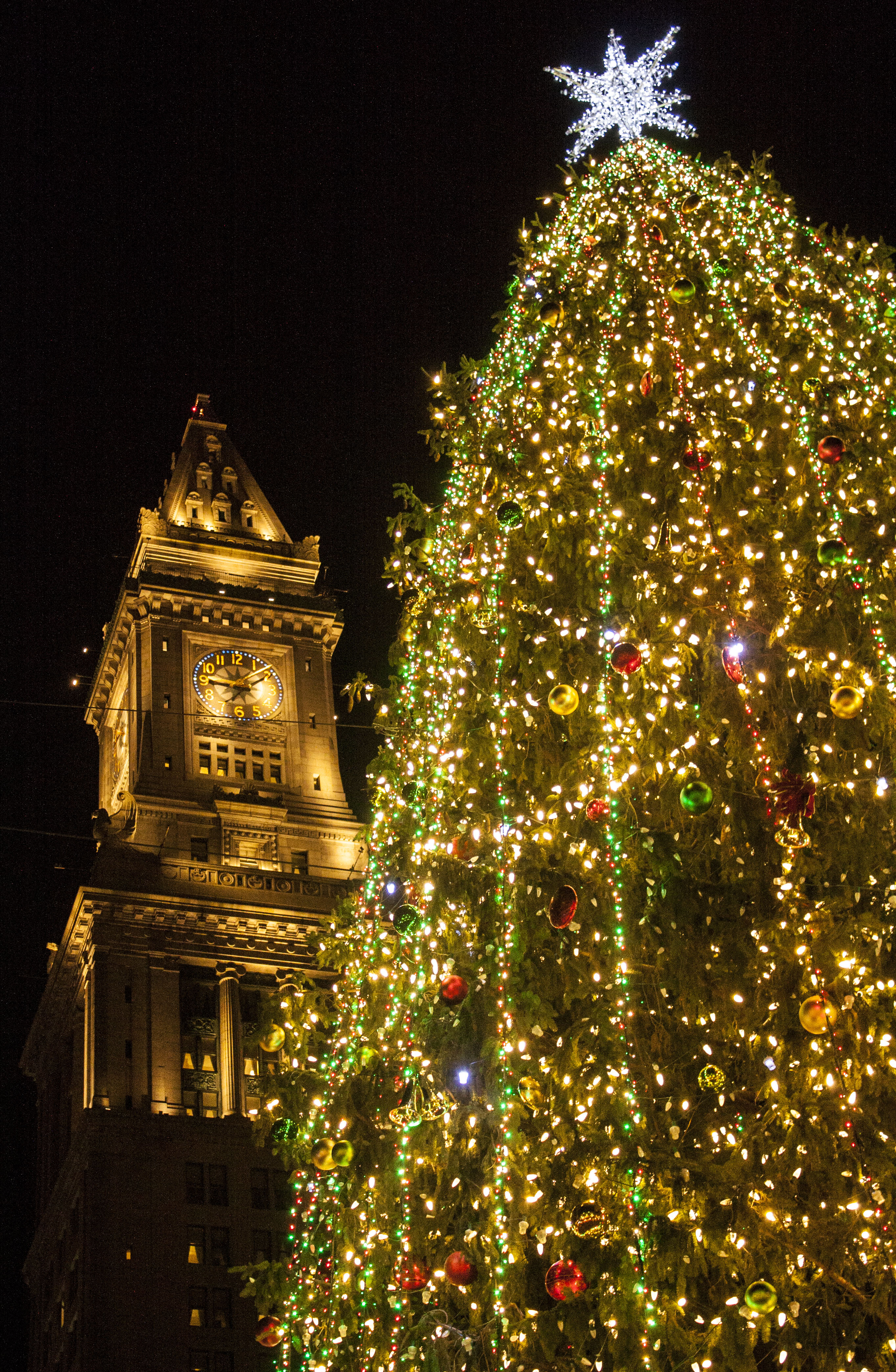 Boston Christmas Tree Pictures Wallpapers